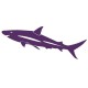 Sticker Requin amethyste B