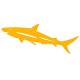 Sticker Requin jaune moutarde B