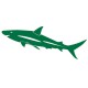 Sticker Requin vert emeraude B