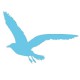 Sticker Mouette blau pervenche B