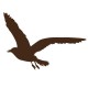 Sticker Mouette marron