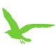 Sticker Mouette vert clair B