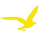 Sticker Mouette jaune T