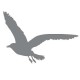 Sticker Mouette argent B