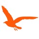 Sticker Mouette orange B