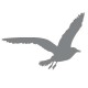 Sticker Mouette argent T