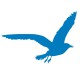 Sticker Mouette bleu ocean T