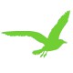 Sticker Mouette vert clair T