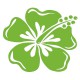 Sticker Hibiscus vert clair