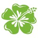 Grand sticker Hibiscus vert clair