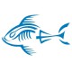 Piranha squelette babord bleu ocean