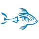 Piranha squelette tribord bleu ocean