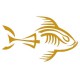 Piranha squelette tribord ocre jaune