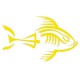 Piranha squelette tribord jaune citron