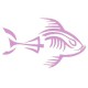 Piranha squelette tribord lilas