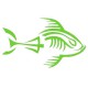 Piranha squelette tribord vert clair
