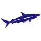 Sticker Requin bleu nordique