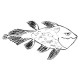 Sticker dessin poisson