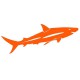 Sticker Requin orange