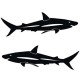 Lot de 2 grands stickers requins