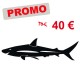 Promo grand sticker requin