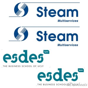 Lot de 4 stickers sponsors pour Esdes Lyon