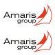 Lot de 2 stickers voile sponsor Amaris