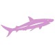 Sticker Requin lilas