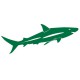 Sticker Requin vert emeraude
