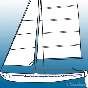 Pack Hobie Cat Requin